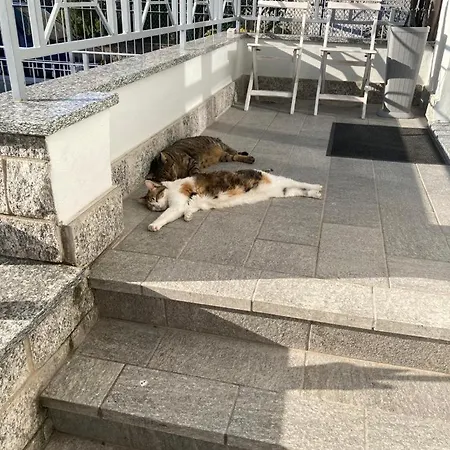 Villino Liber Vendégház 3*